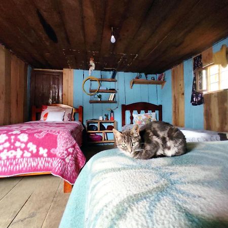 Patricia And Ned'S Cloud Forest Farm Котакачи Екстериор снимка