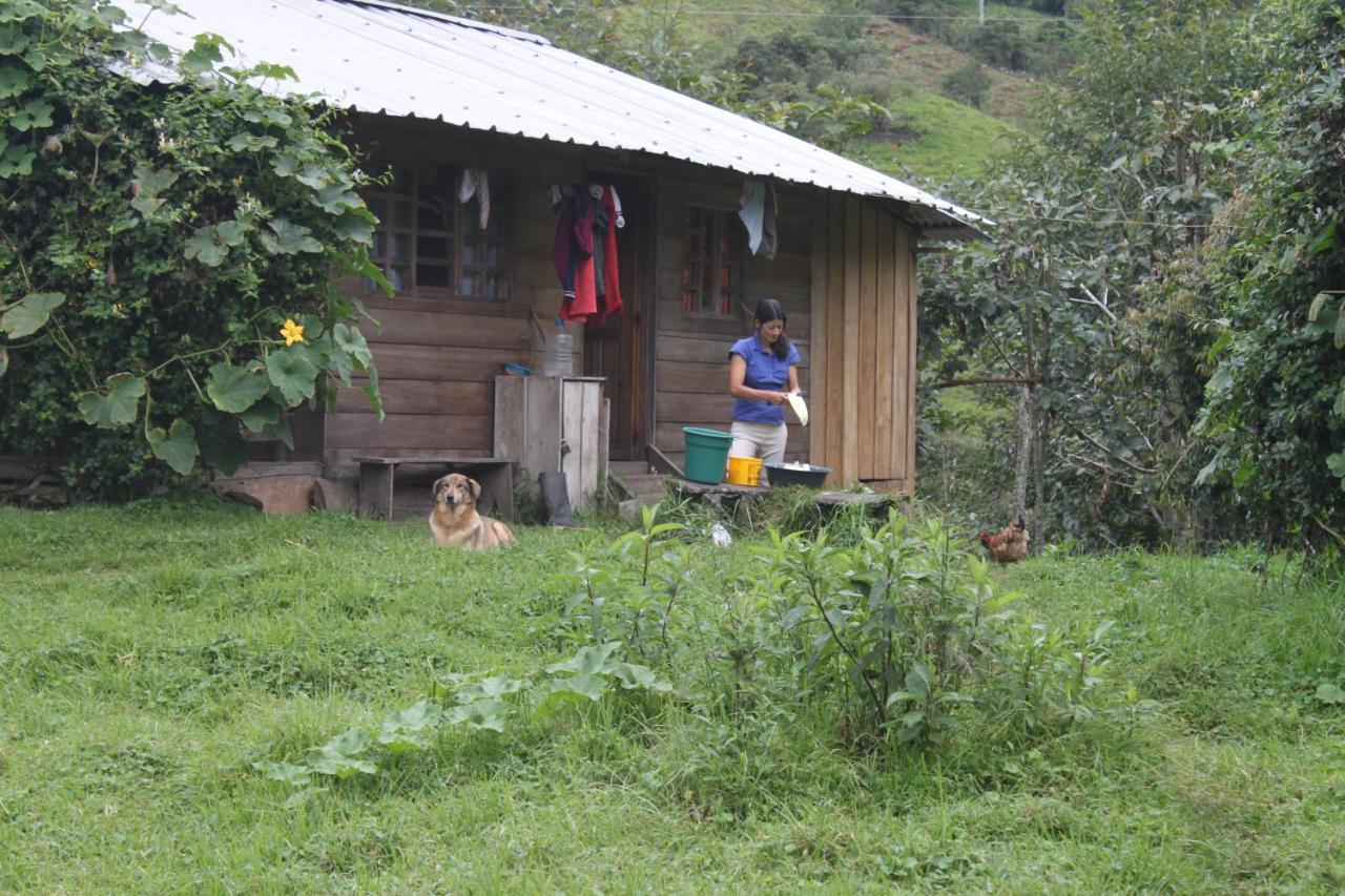 Patricia And Ned'S Cloud Forest Farm Котакачи Екстериор снимка